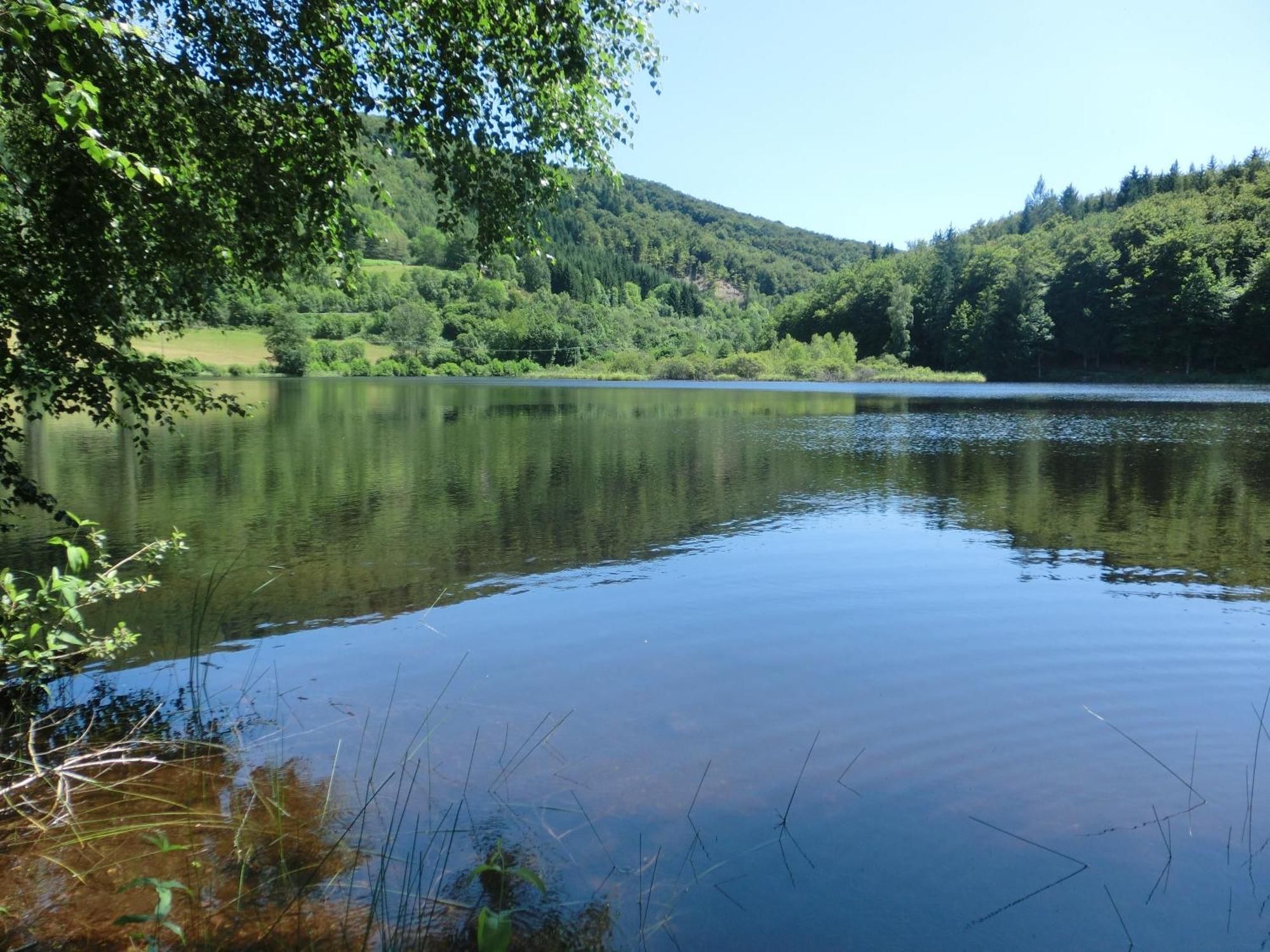 Le Lac Des Moines Condat  Exterior foto