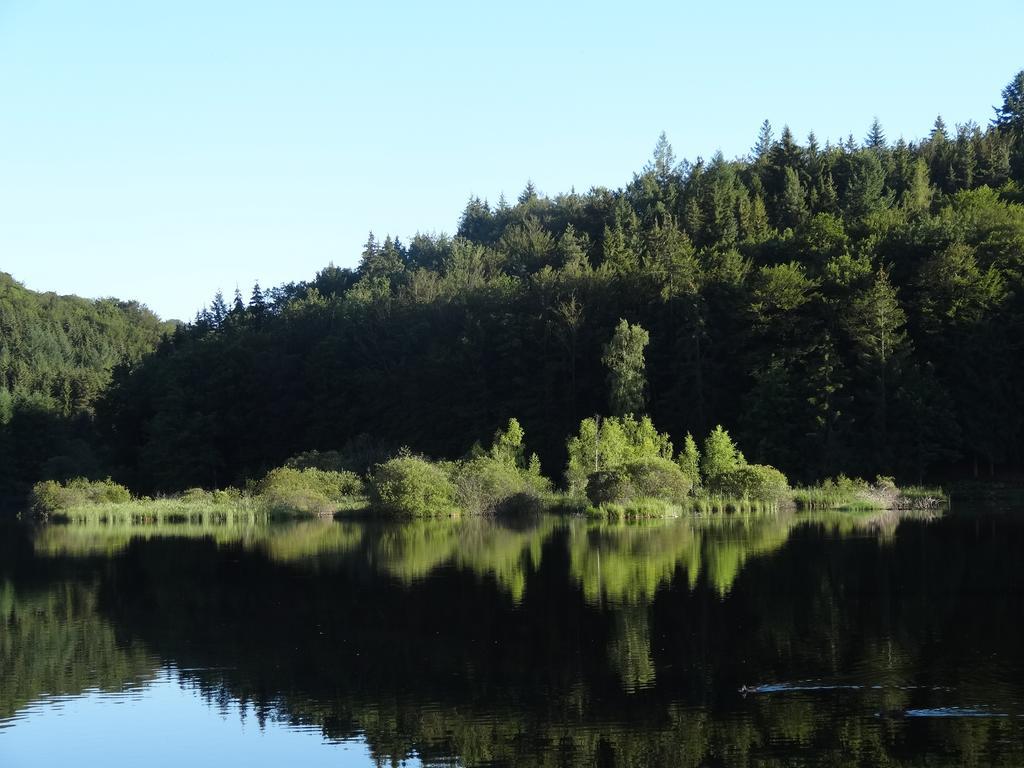 Le Lac Des Moines Condat  Exterior foto