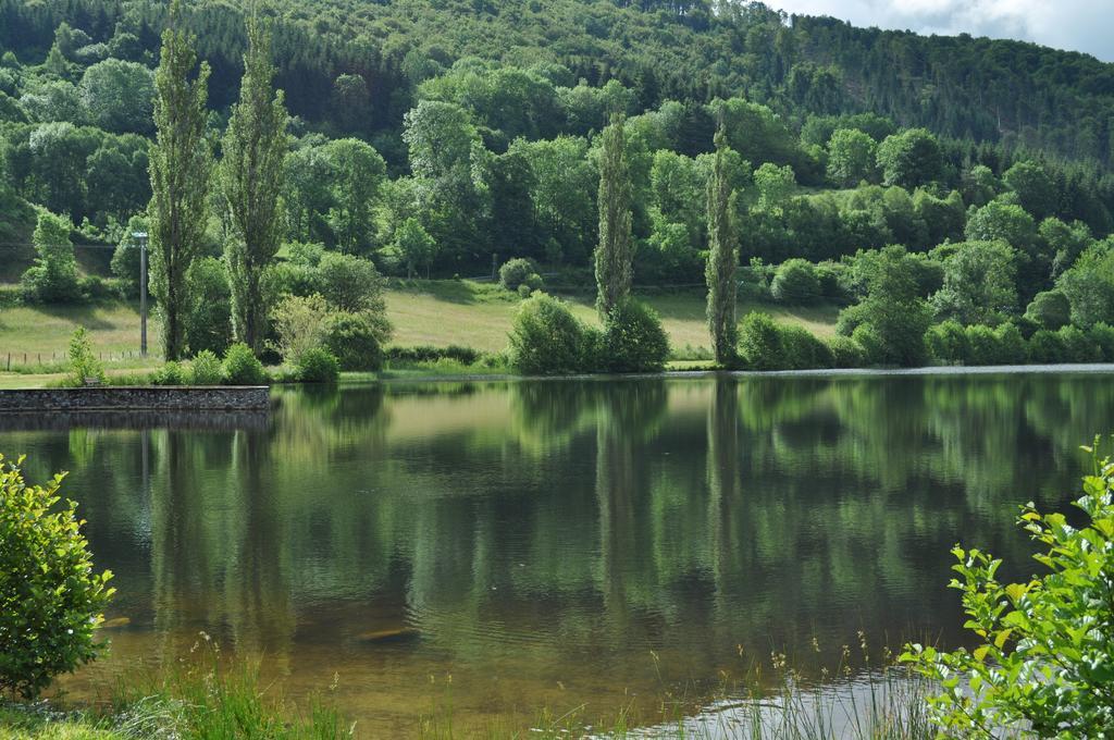Le Lac Des Moines Condat  Exterior foto